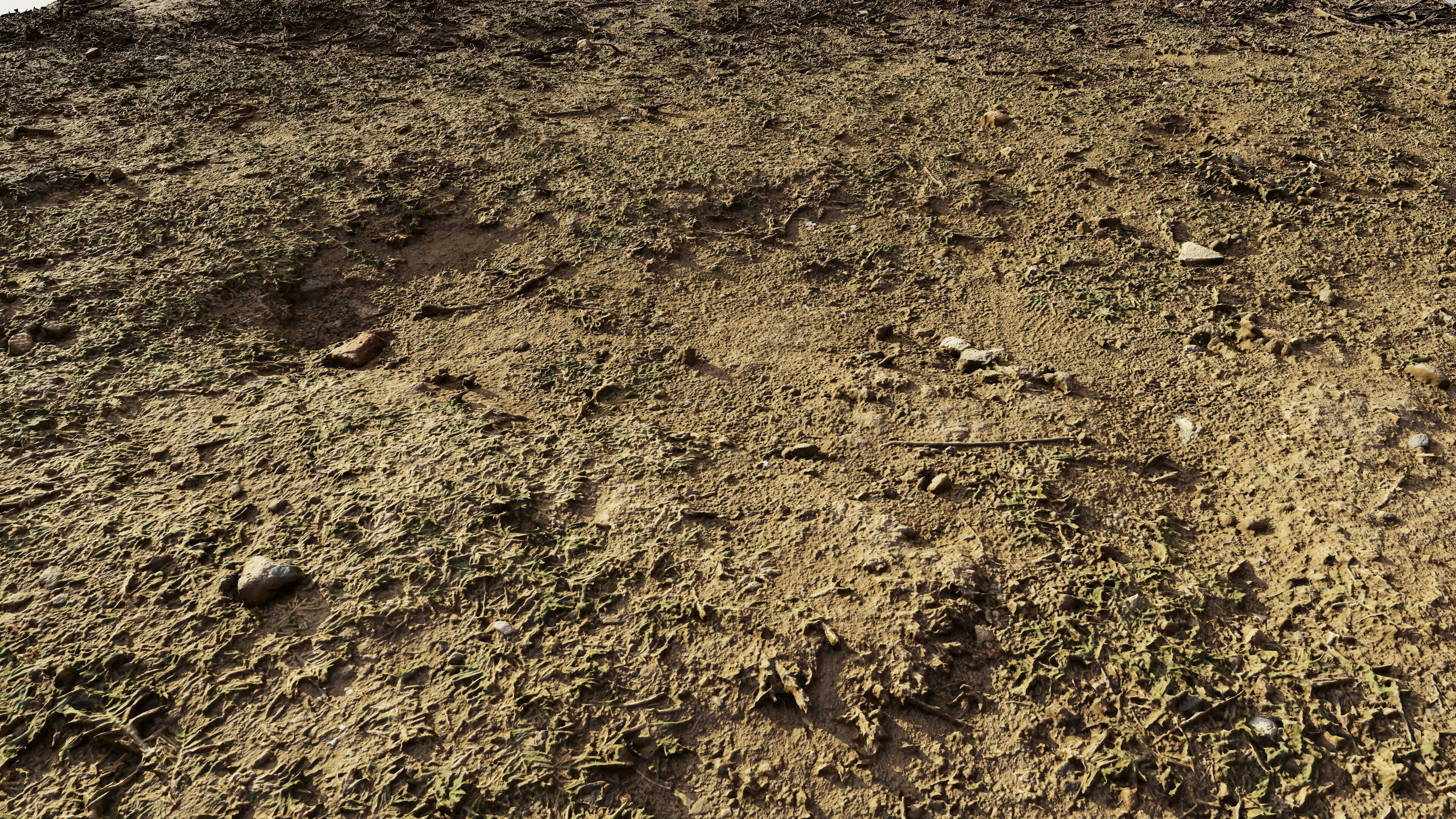 dirtpathscan06102024 3D model_2