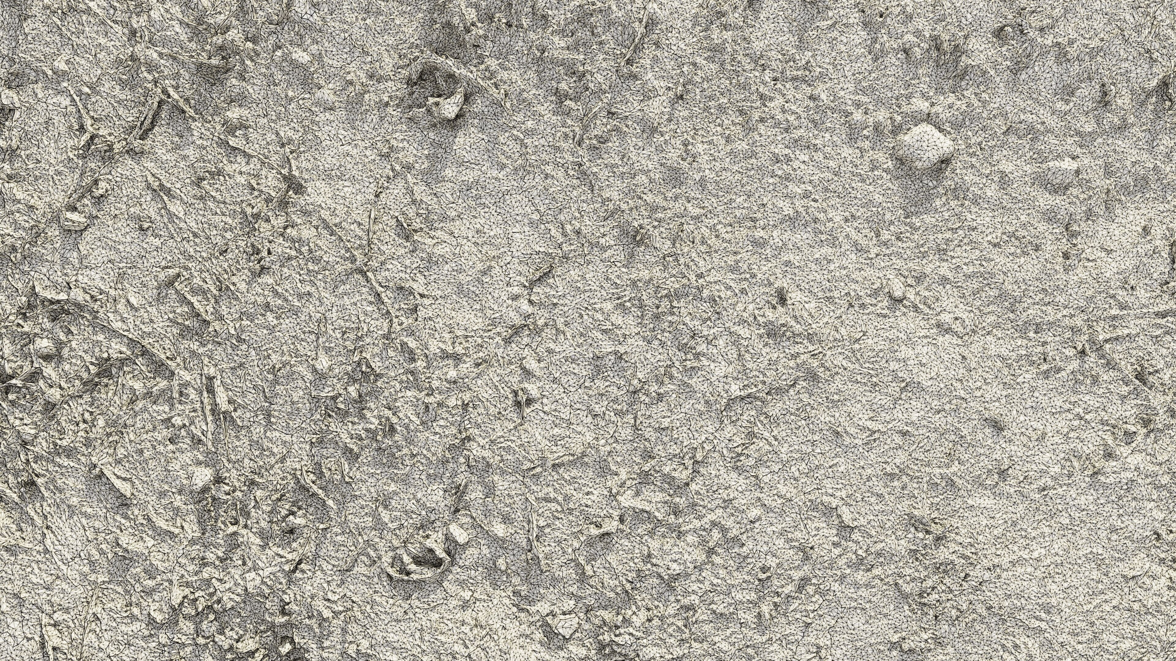 dirtpathscan06102024 3D model_6