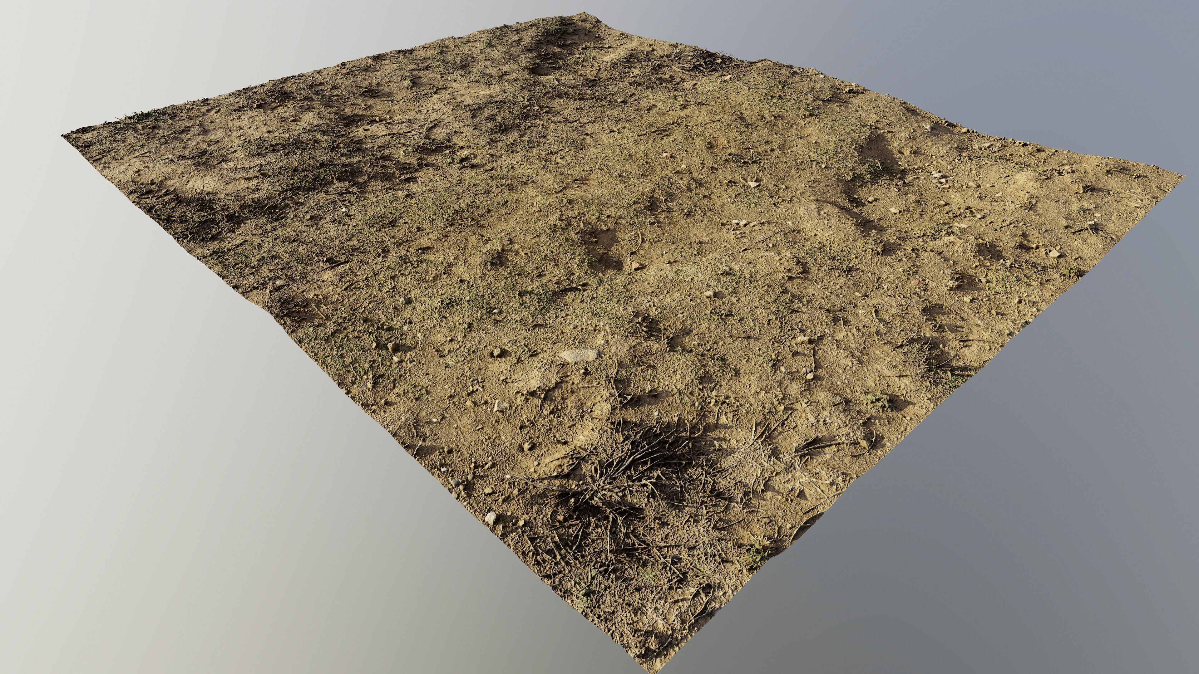 dirtpathscan06102024 3D model_5