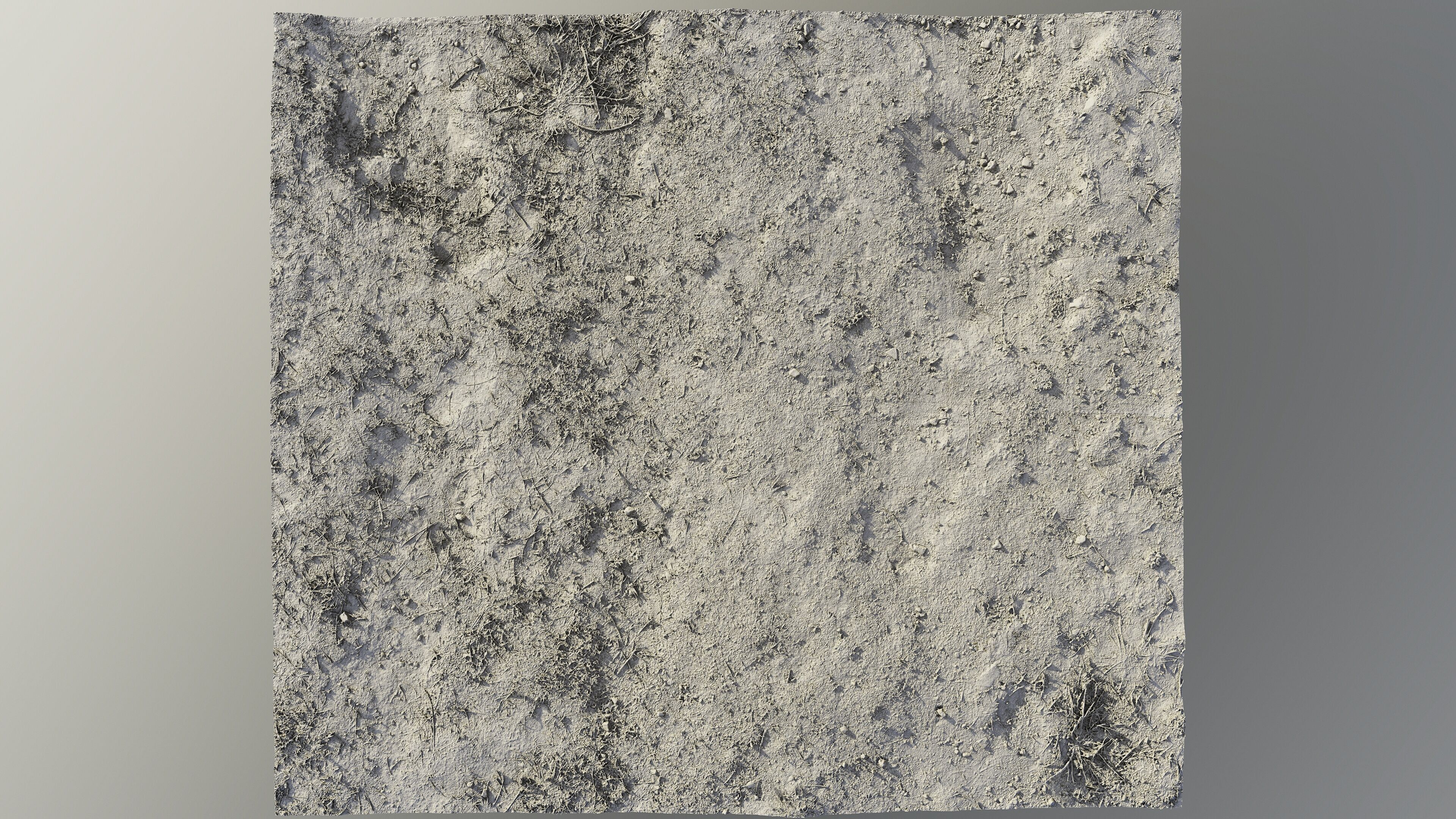 dirtpathscan06102024 3D model_9