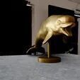 Beluga whale swimming STL 3D print model_2