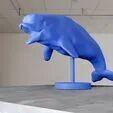 Beluga whale swimming STL 3D print model_1