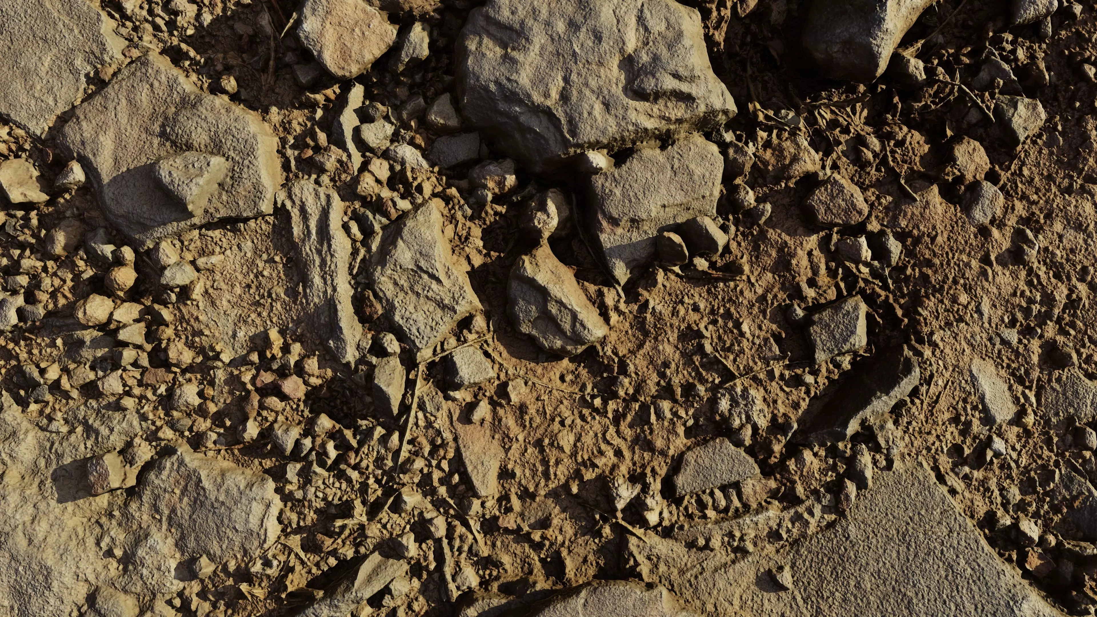 rockyground01092024 3D model_0