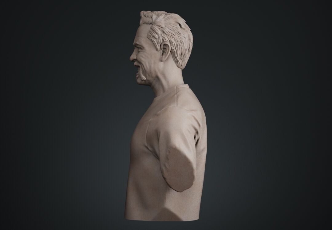 James Hetfield Bust sculpture 3D print model_10