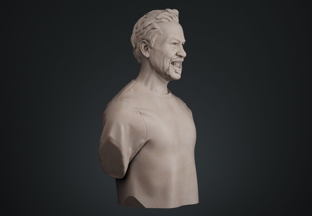 James Hetfield Bust sculpture 3D print model_3