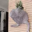 chameleon head wall mount planter succulent pot flower vase STL