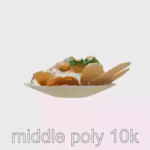 Curry Platter with Rice and Papadums model pack