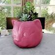 Cat sphere cute cartoon planter STL flower vase 3D print model_1