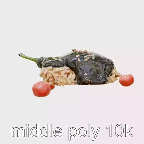 Mexican Mole Poblano Sauce and Turkey model pack