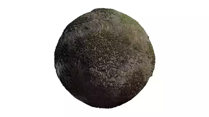 Anydrafts Abies Bark 36