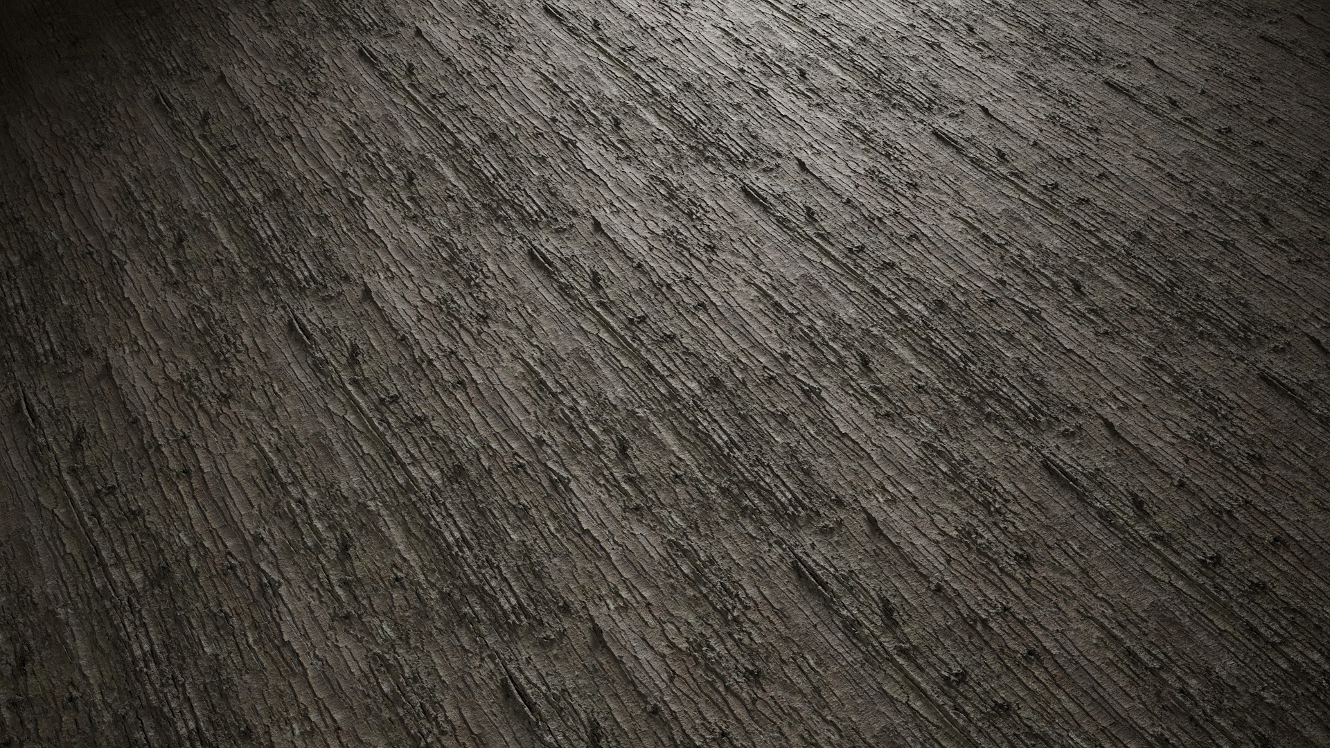 Anydrafts Abies Bark 37 Texture_4