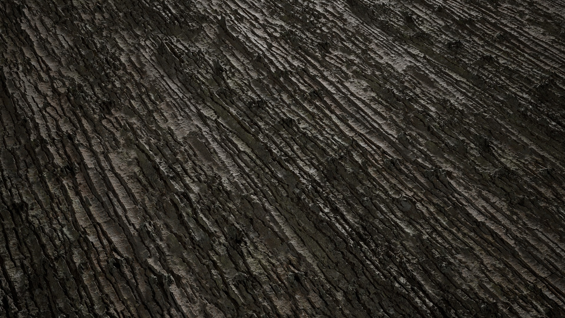 Anydrafts Abies Bark 37 Texture_2