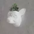 CHihuahua wall planter flower vase STL 3d print 3D print model_0