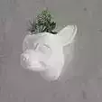CHihuahua wall planter flower vase STL 3d print