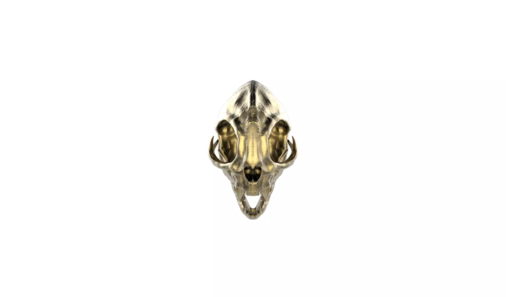 Cat Skull pendant and Vertebrae Pattern for Bracelet 3D print model_5