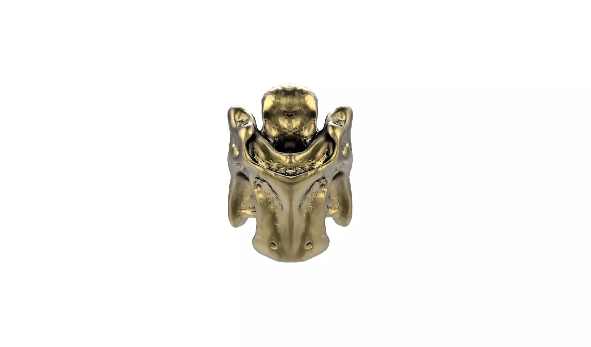 Cat Skull pendant and Vertebrae Pattern for Bracelet 3D print model_6