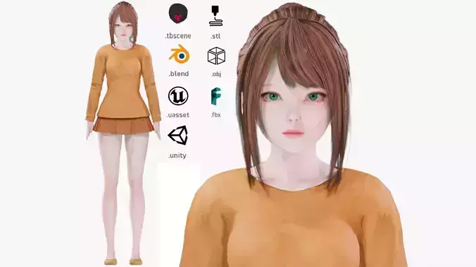 Casual clothes 0017 - Rig -Unreal - Unity - Blender - Animated