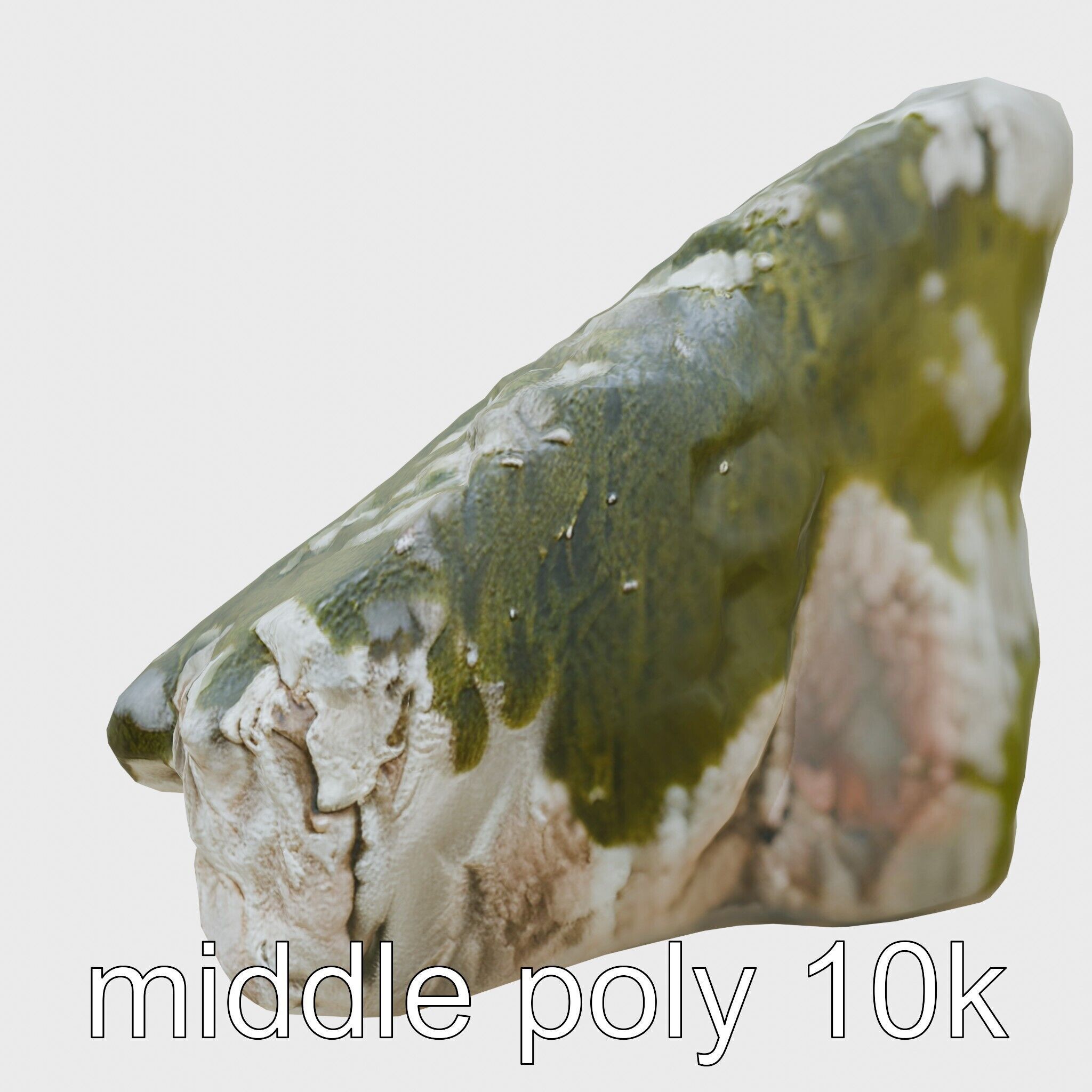 Mossy Stepping Stone Model Pack Low-poly 3D model_20