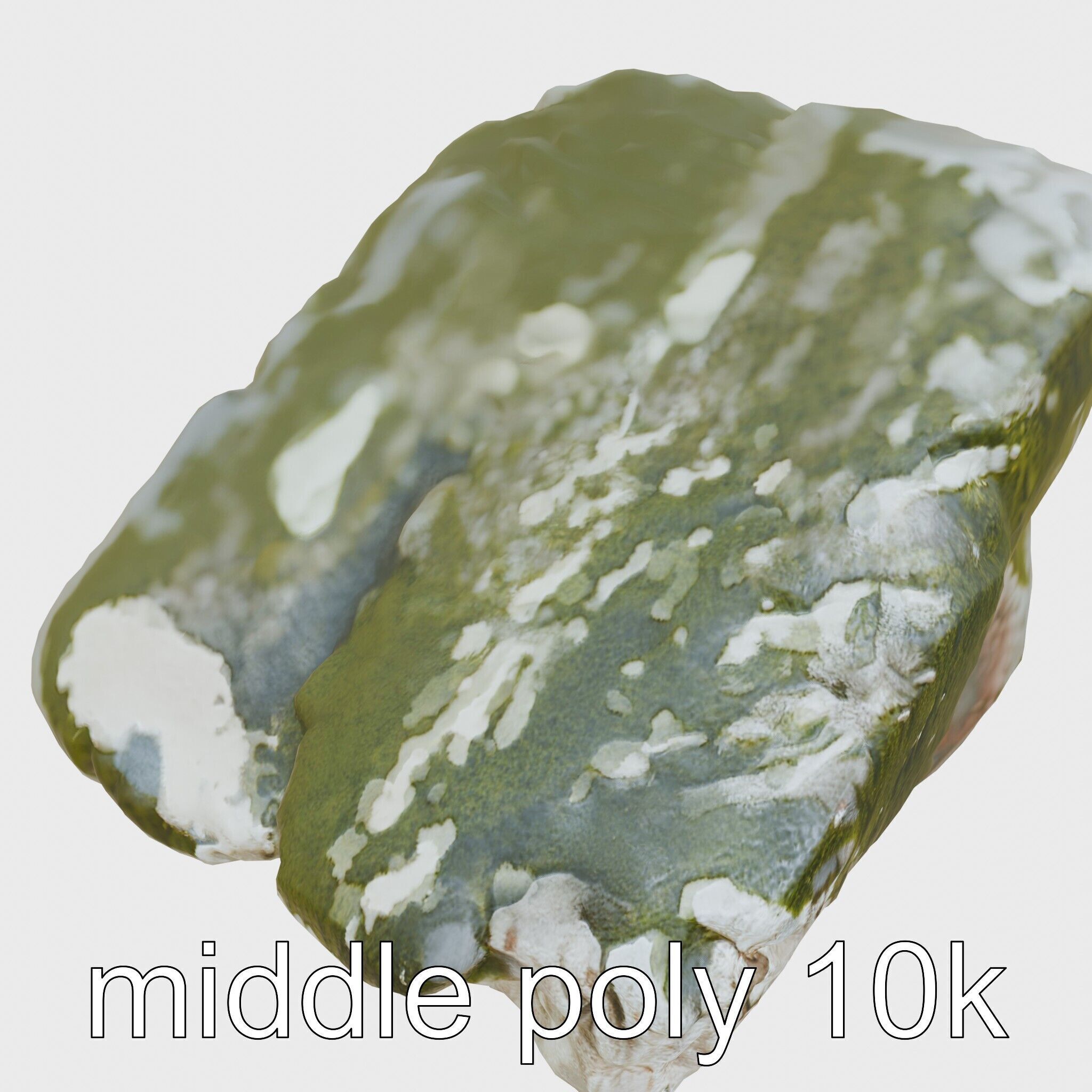 Mossy Stepping Stone Model Pack Low-poly 3D model_12