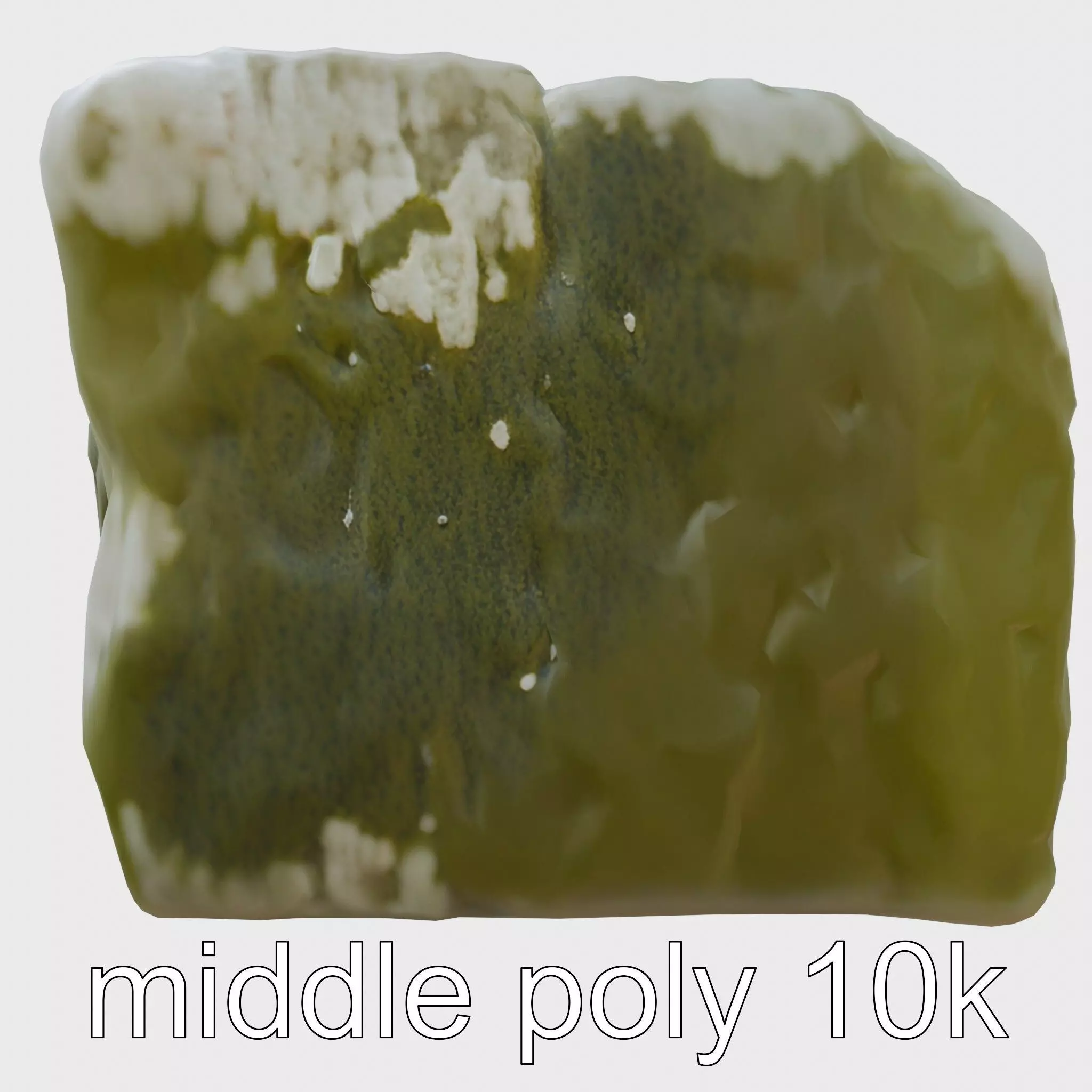 Mossy Stepping Stone Model Pack Low-poly 3D model_0