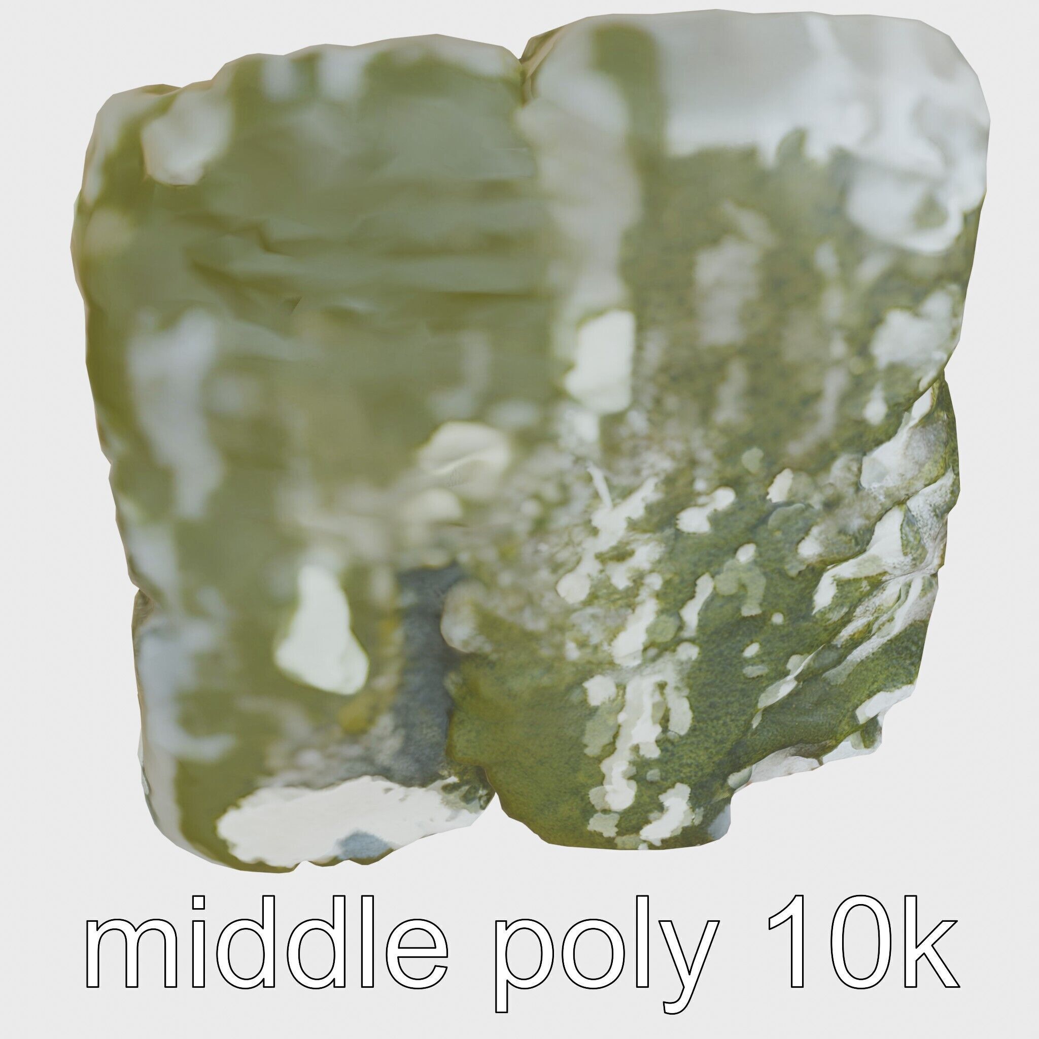 Mossy Stepping Stone Model Pack Low-poly 3D model_18