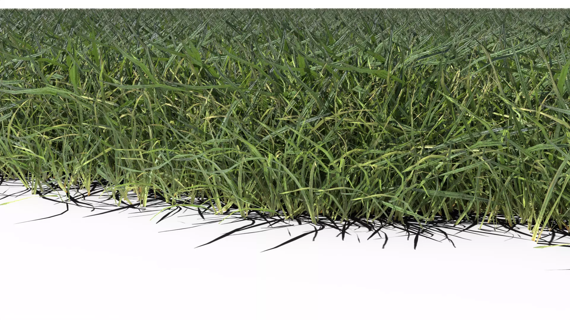 Grass Land 3D model_0