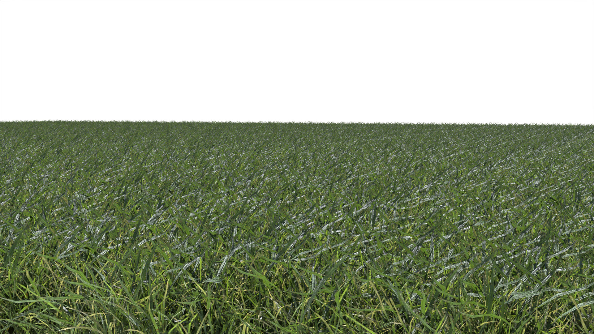 Grass Land 3D model_3