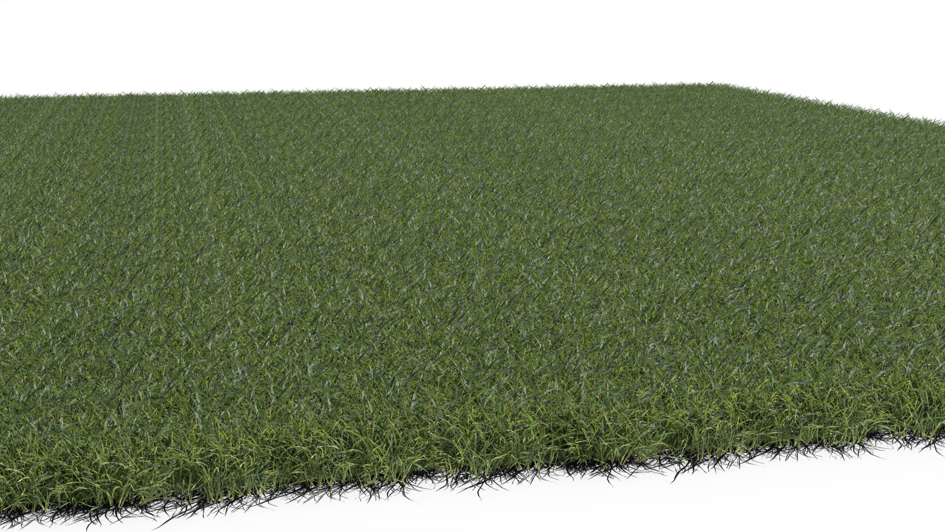 Grass Land 3D model_2