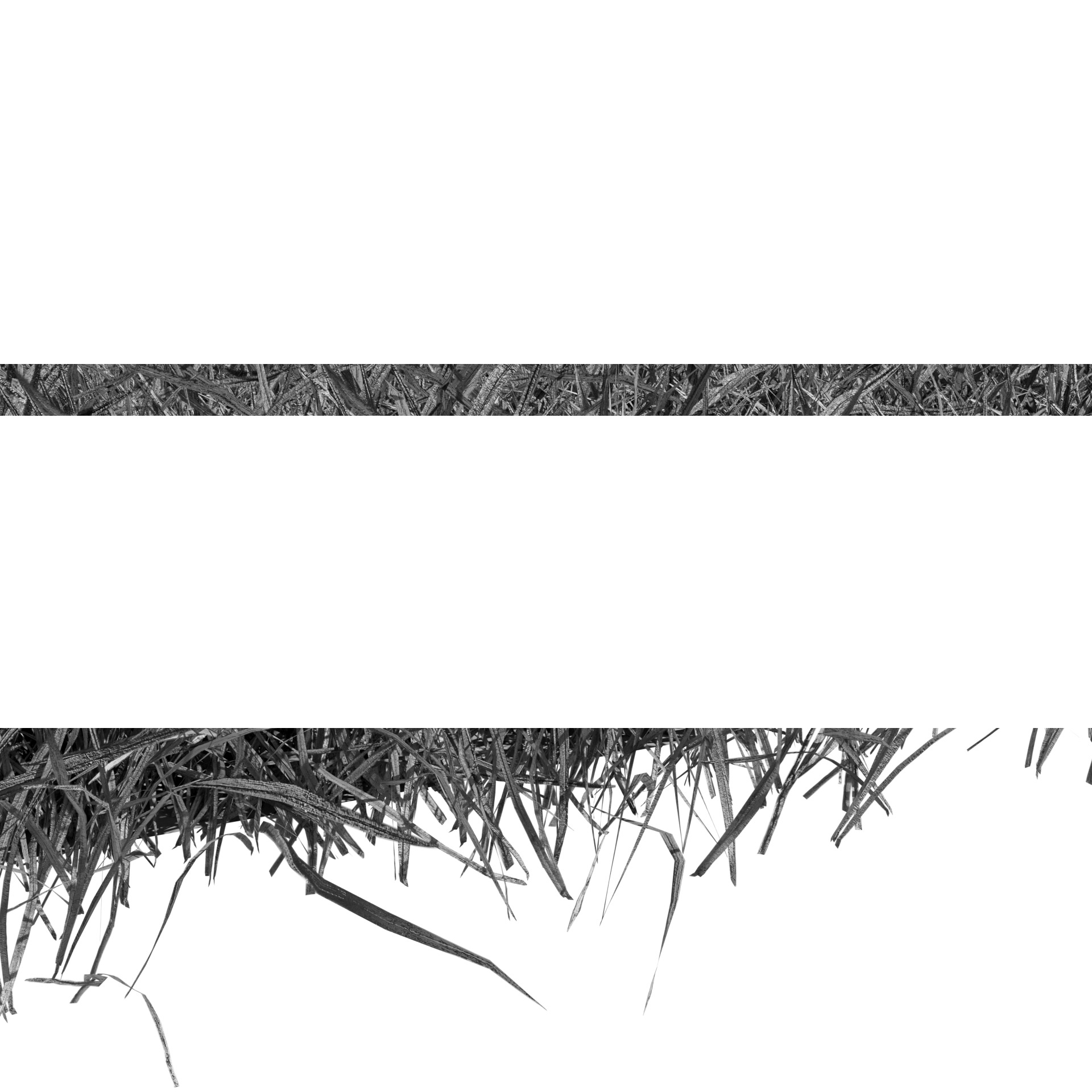 Grass Land 3D model_1