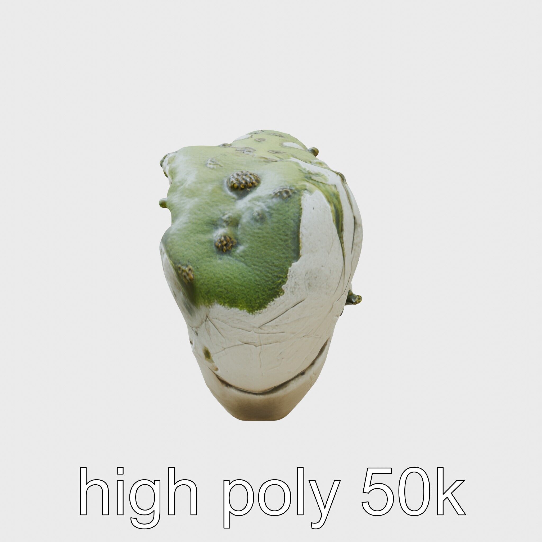 Moss-Covered Mystical Hollow Stone model pack Low-poly 3D model_31