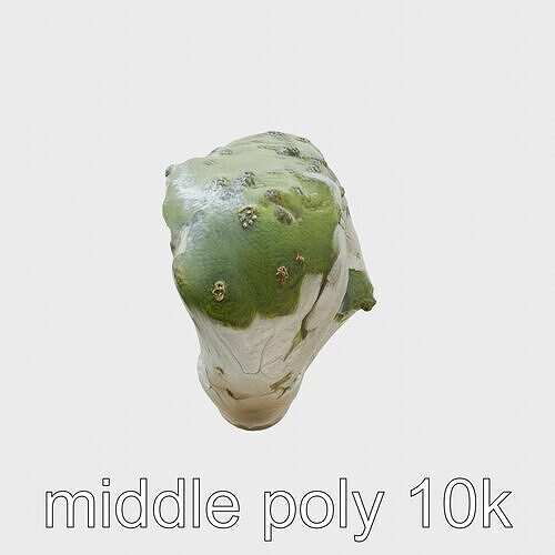 Moss-Covered Mystical Hollow Stone model pack Low-poly 3D model