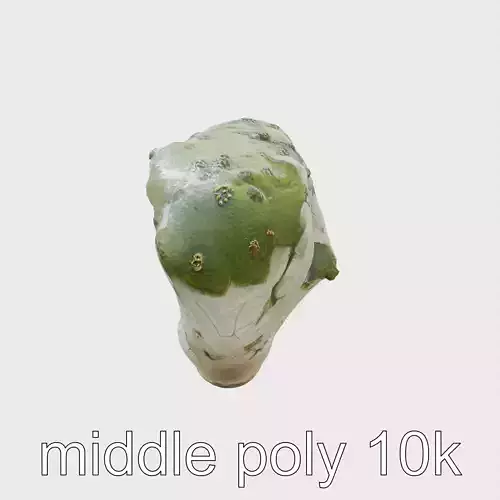 Moss-Covered Mystical Hollow Stone model pack Low-poly 3D model