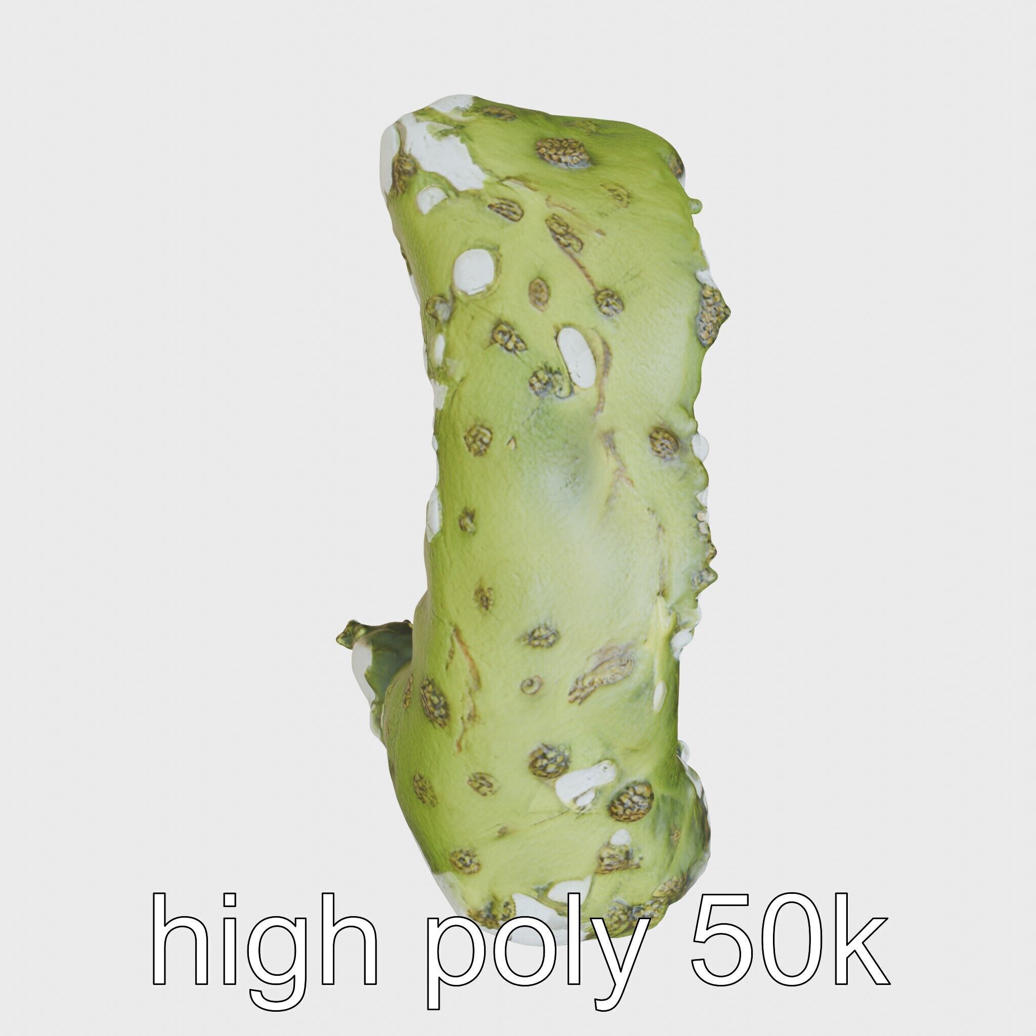 Moss-Covered Mystical Hollow Stone model pack Low-poly 3D model_11