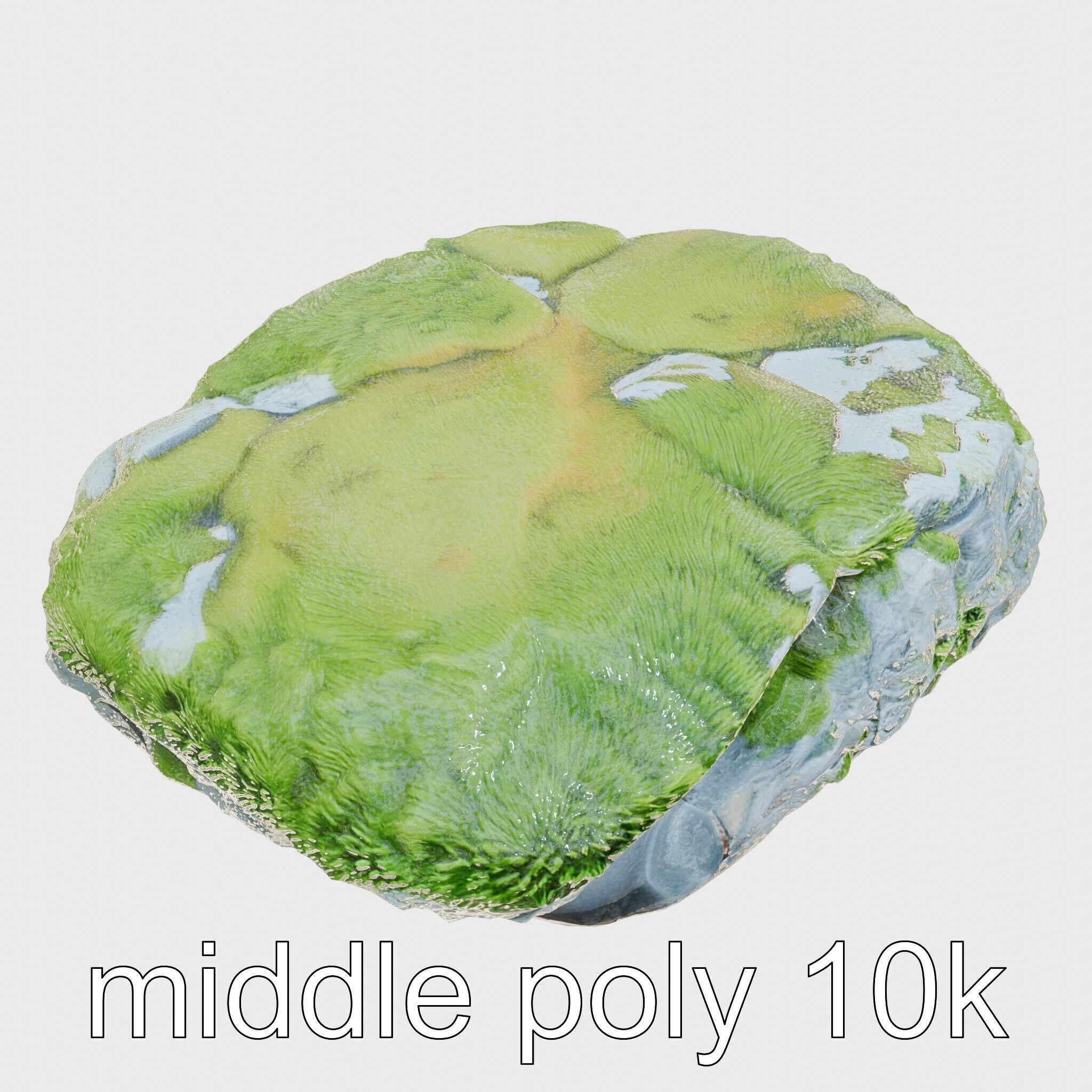 Moss-Covered Stone Forest Environment model pack Low-poly 3D model_12