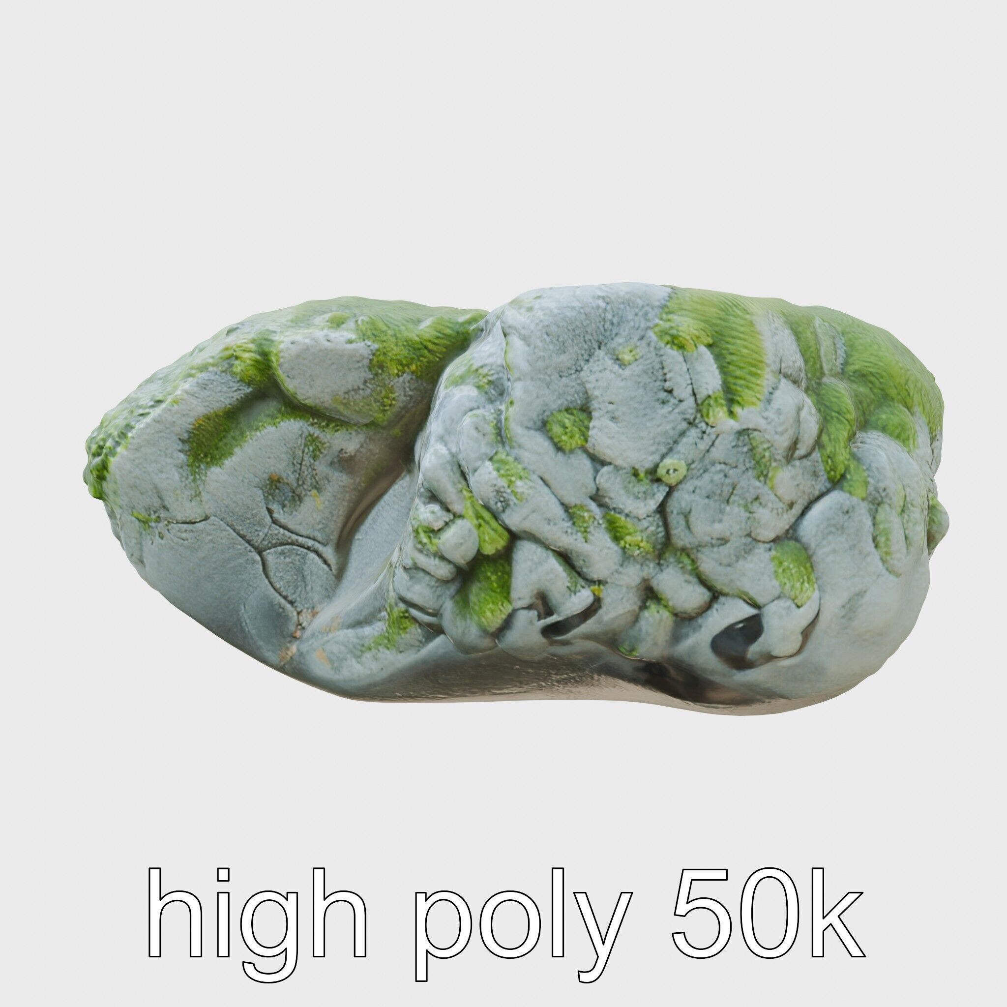 Moss-Covered Stone Forest Environment model pack Low-poly 3D model_5