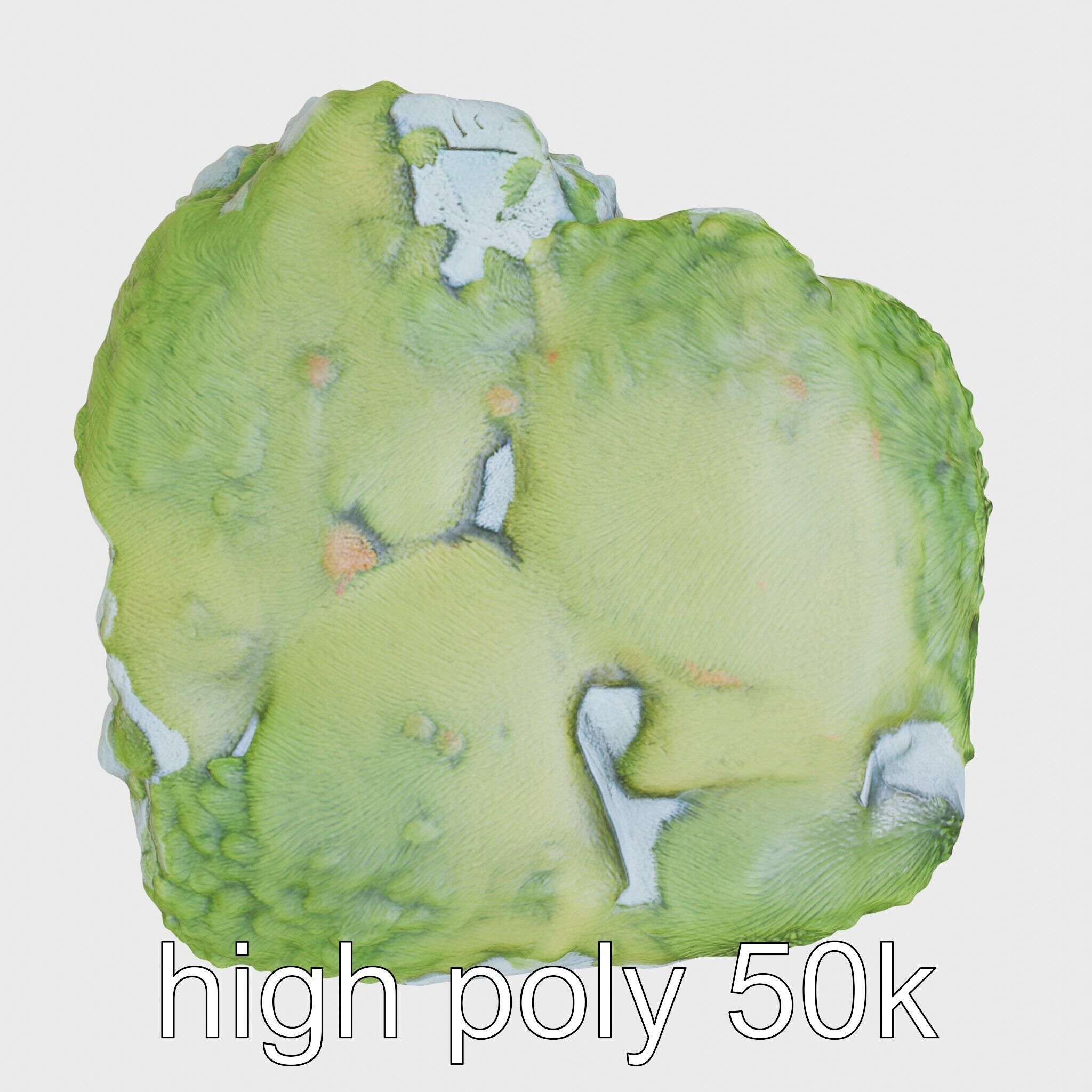 Moss-Covered Stone Forest Environment model pack Low-poly 3D model_28