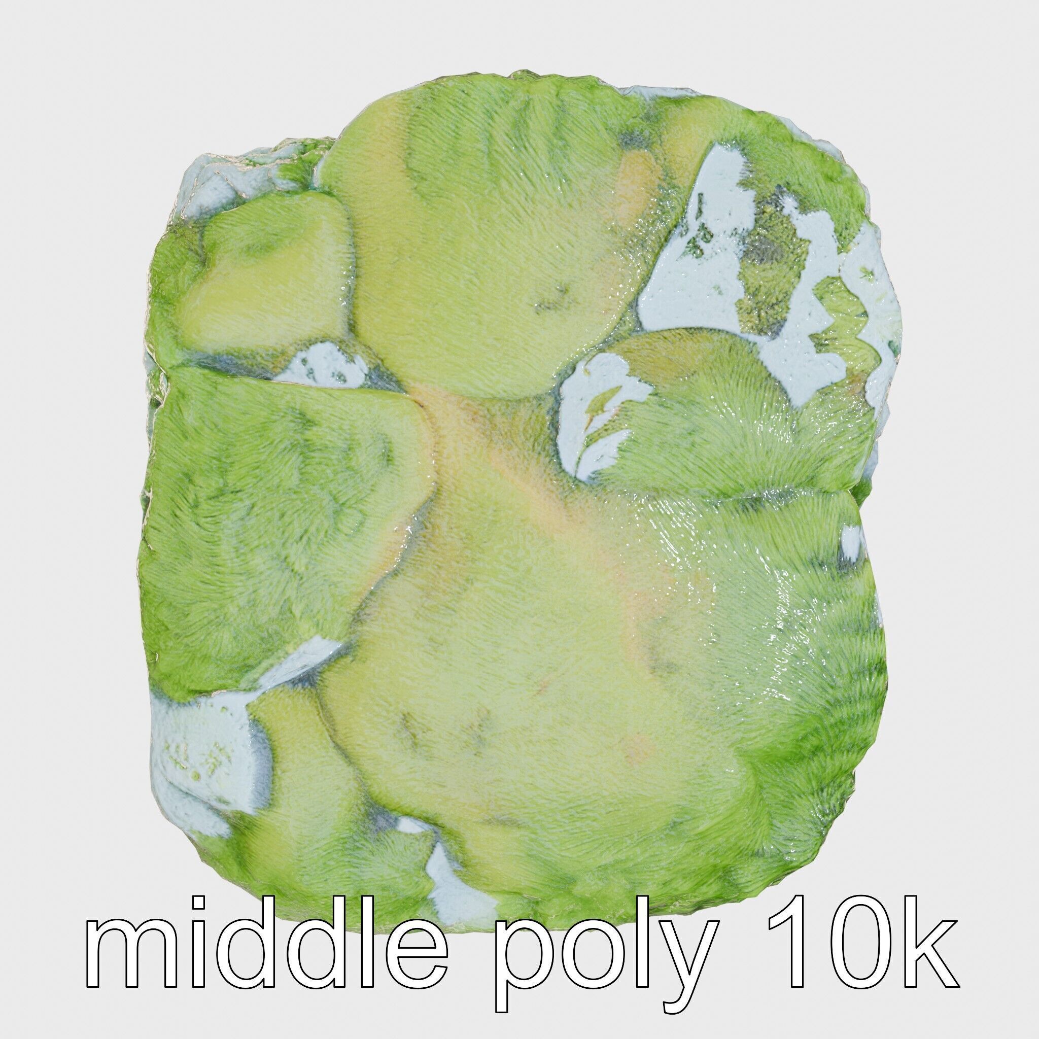 Moss-Covered Stone Forest Environment model pack Low-poly 3D model_33