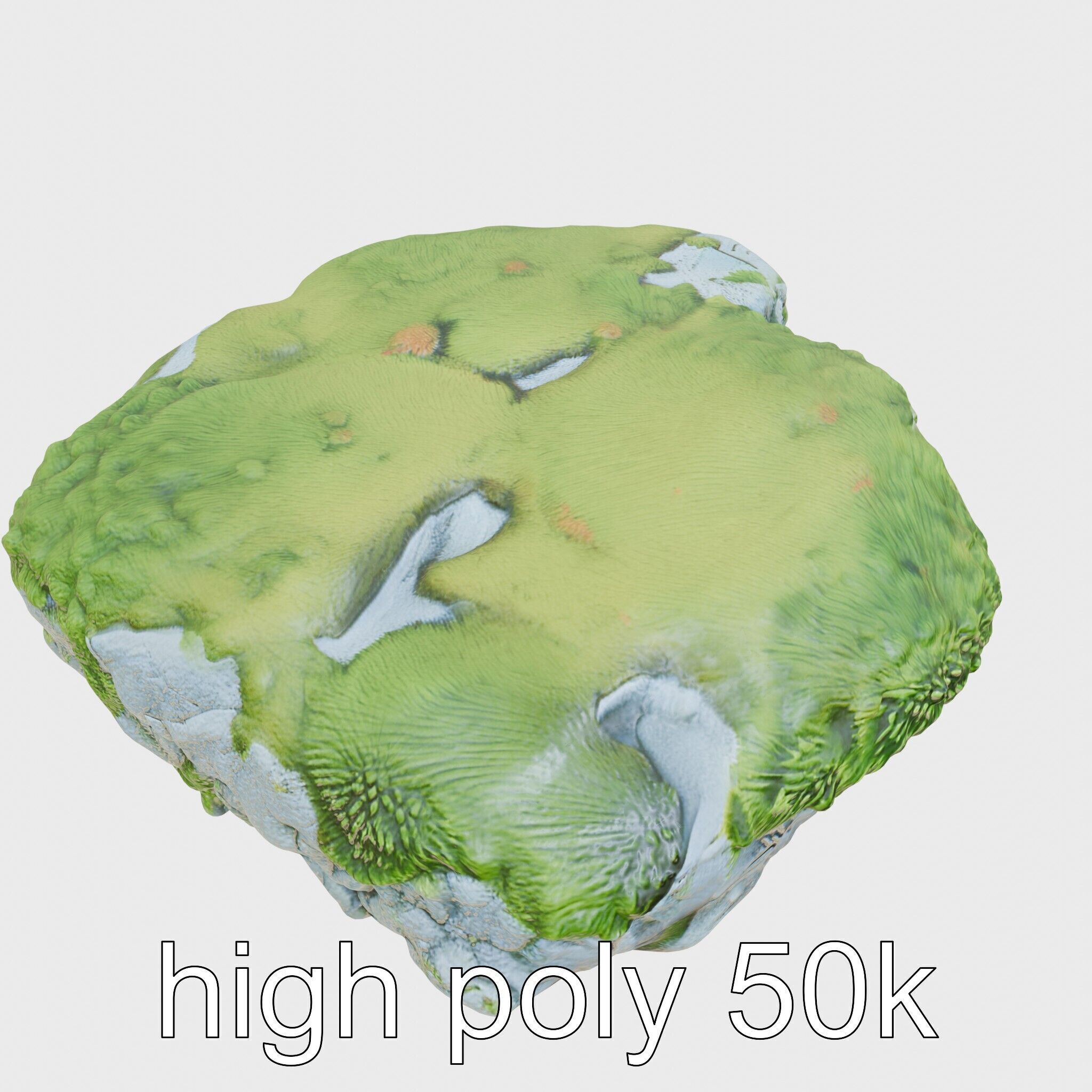 Moss-Covered Stone Forest Environment model pack Low-poly 3D model_11