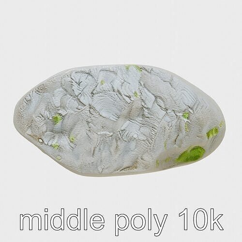 Mossy River Rock with Glossy Surface model pack Low-poly 3D model