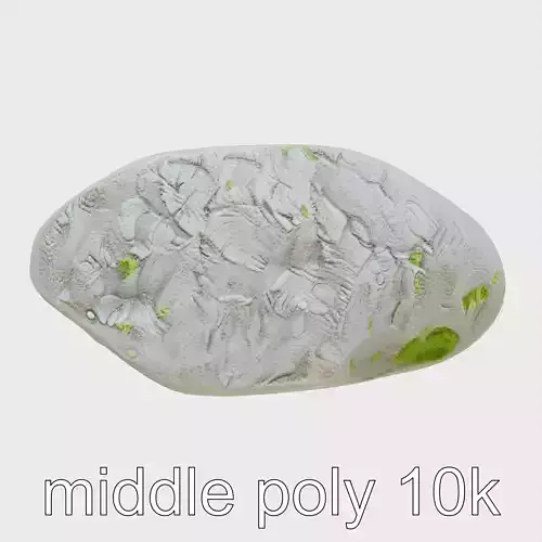 Mossy River Rock with Glossy Surface model pack