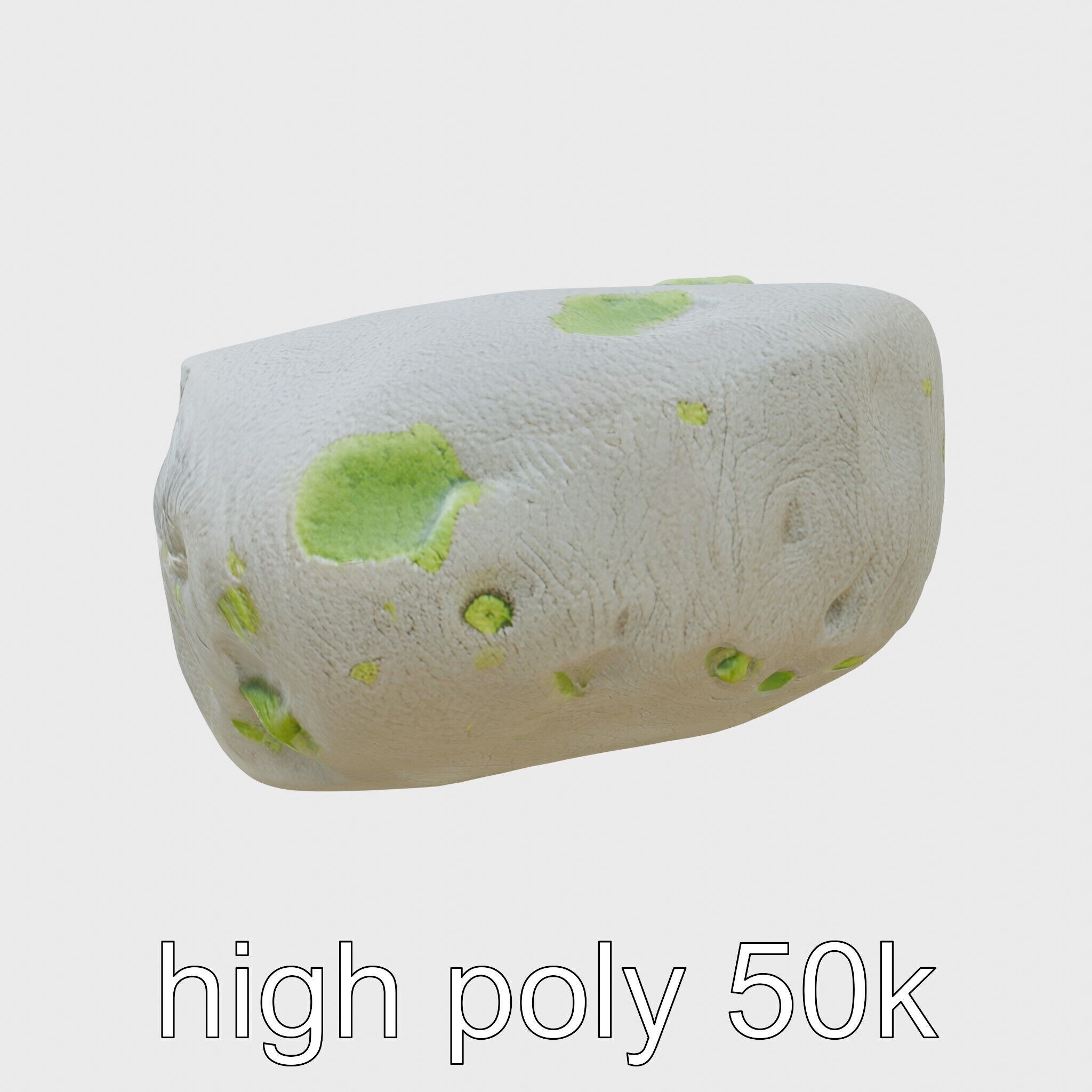 Mossy River Rock with Glossy Surface model pack Low-poly 3D model_14