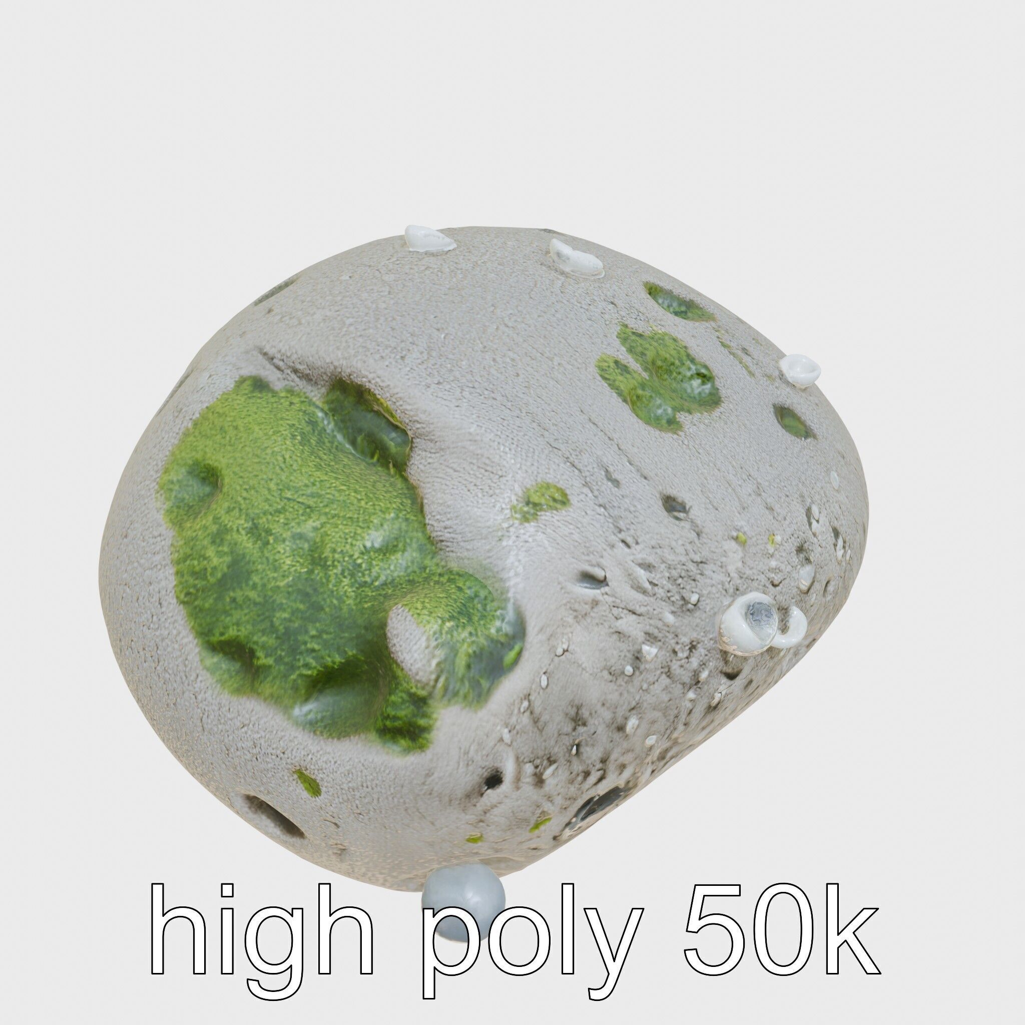 Mossy Pebble with Dewdrops model pack Low-poly 3D model_15