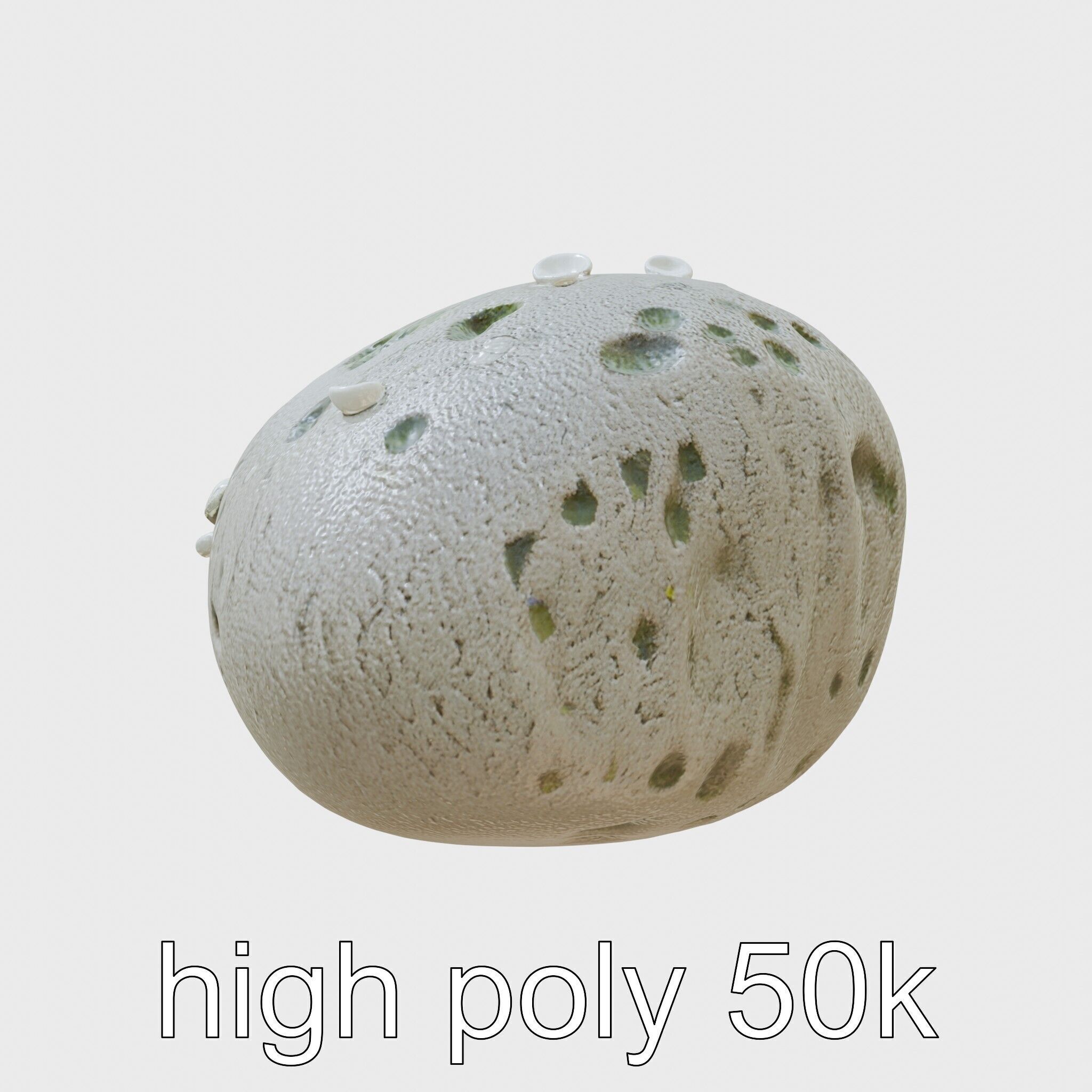 Mossy Pebble with Dewdrops model pack Low-poly 3D model_14