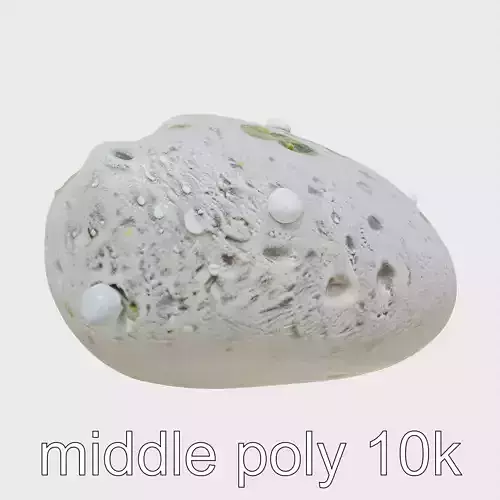 Mossy Pebble with Dewdrops model pack