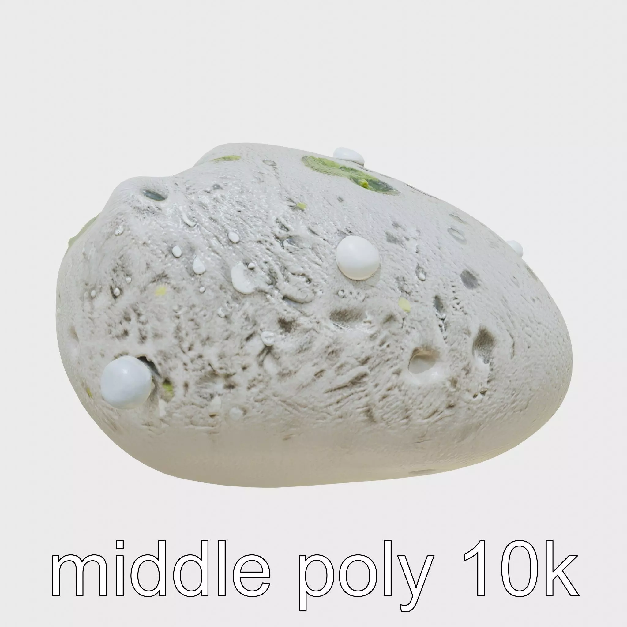 Mossy Pebble with Dewdrops model pack Low-poly 3D model_0