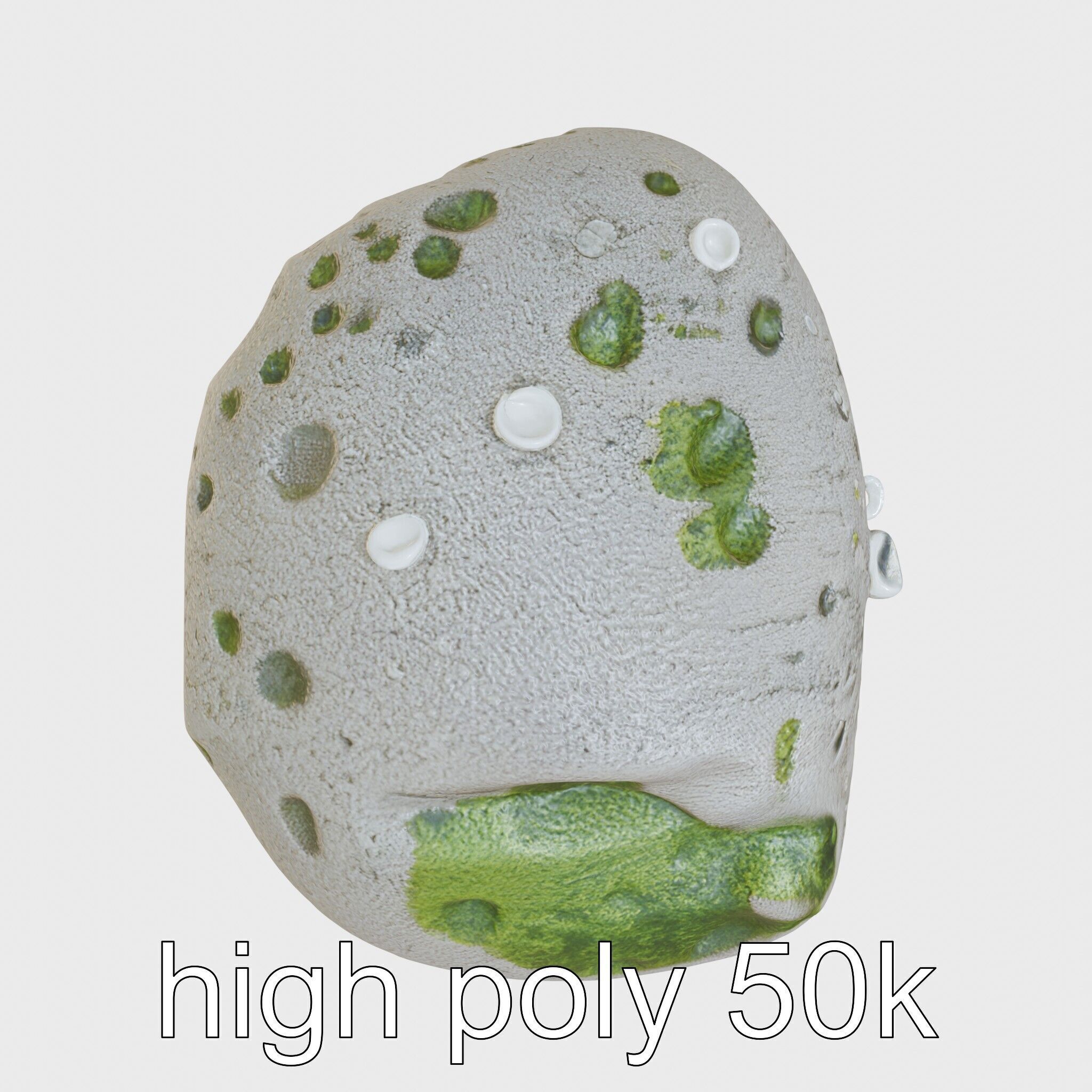 Mossy Pebble with Dewdrops model pack Low-poly 3D model_11