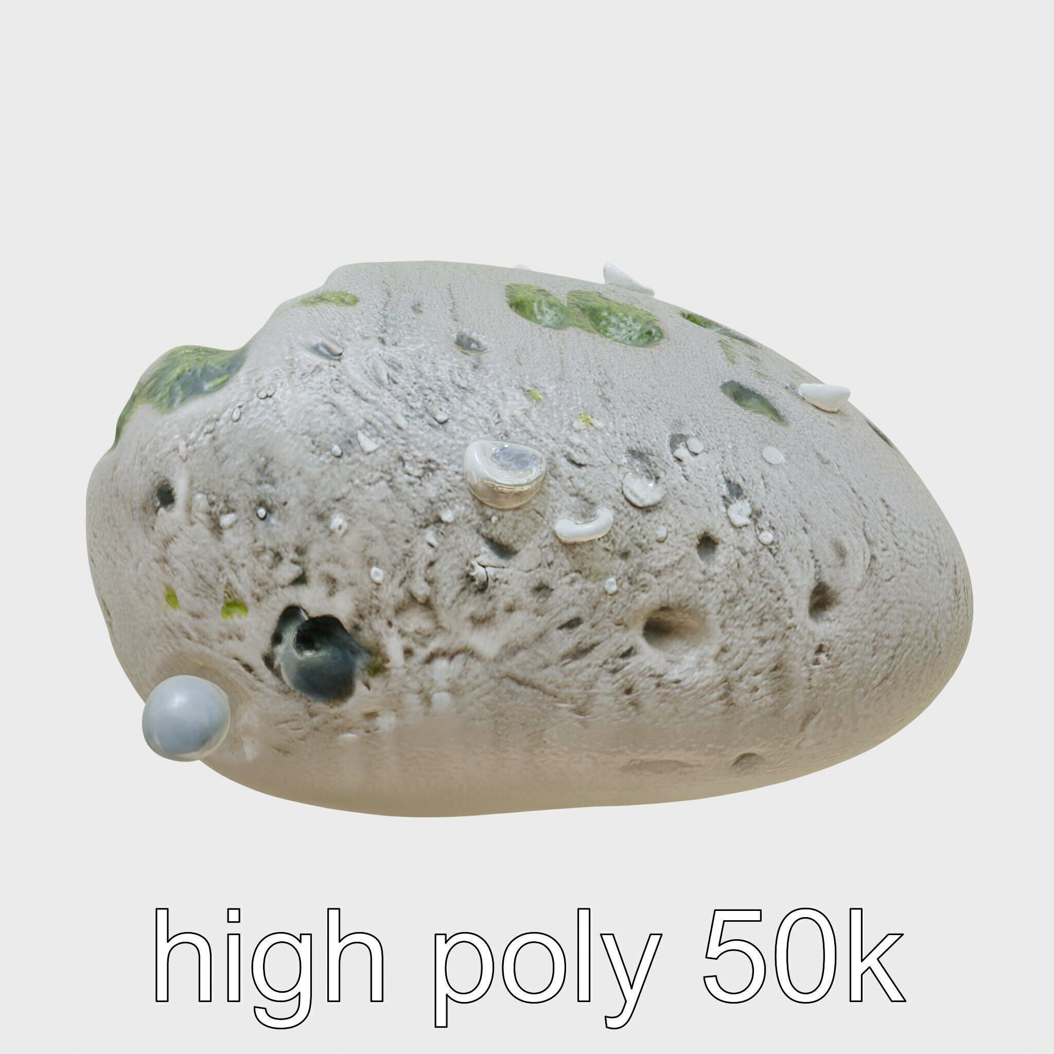 Mossy Pebble with Dewdrops model pack Low-poly 3D model_5
