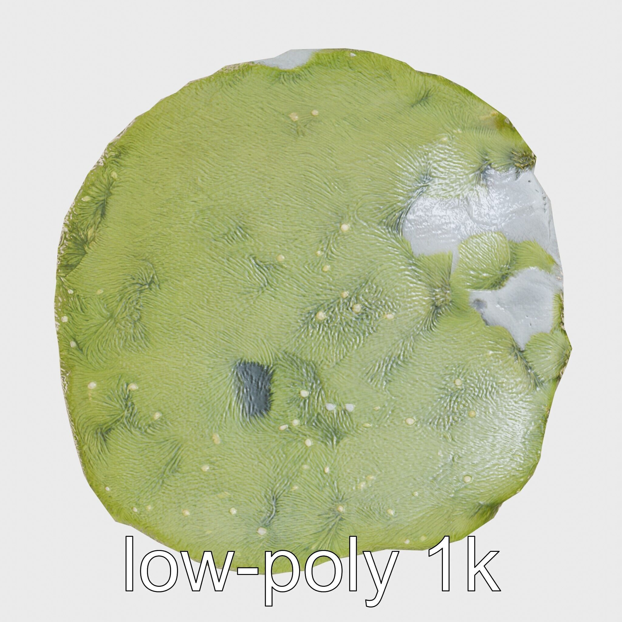 Mossy Stone Terrain Element model pack Low-poly 3D model_23