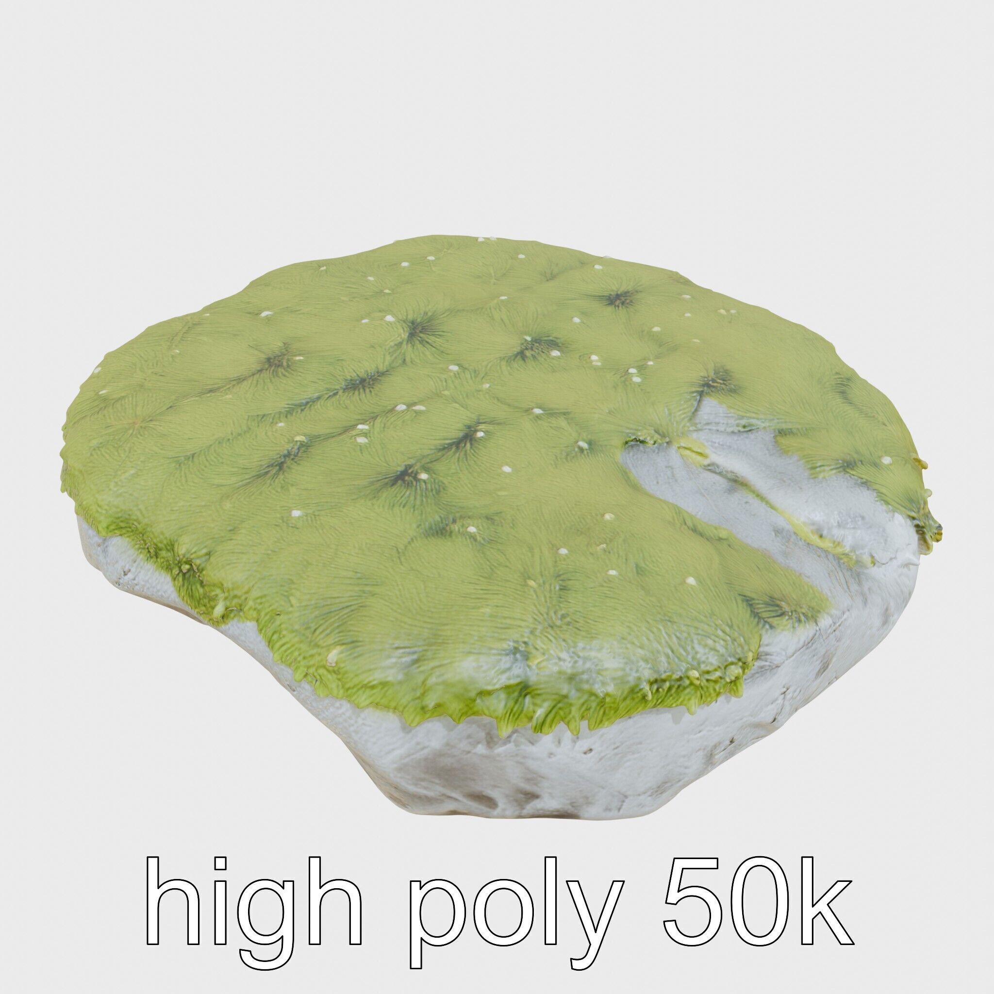 Mossy Stone Terrain Element model pack Low-poly 3D model_14