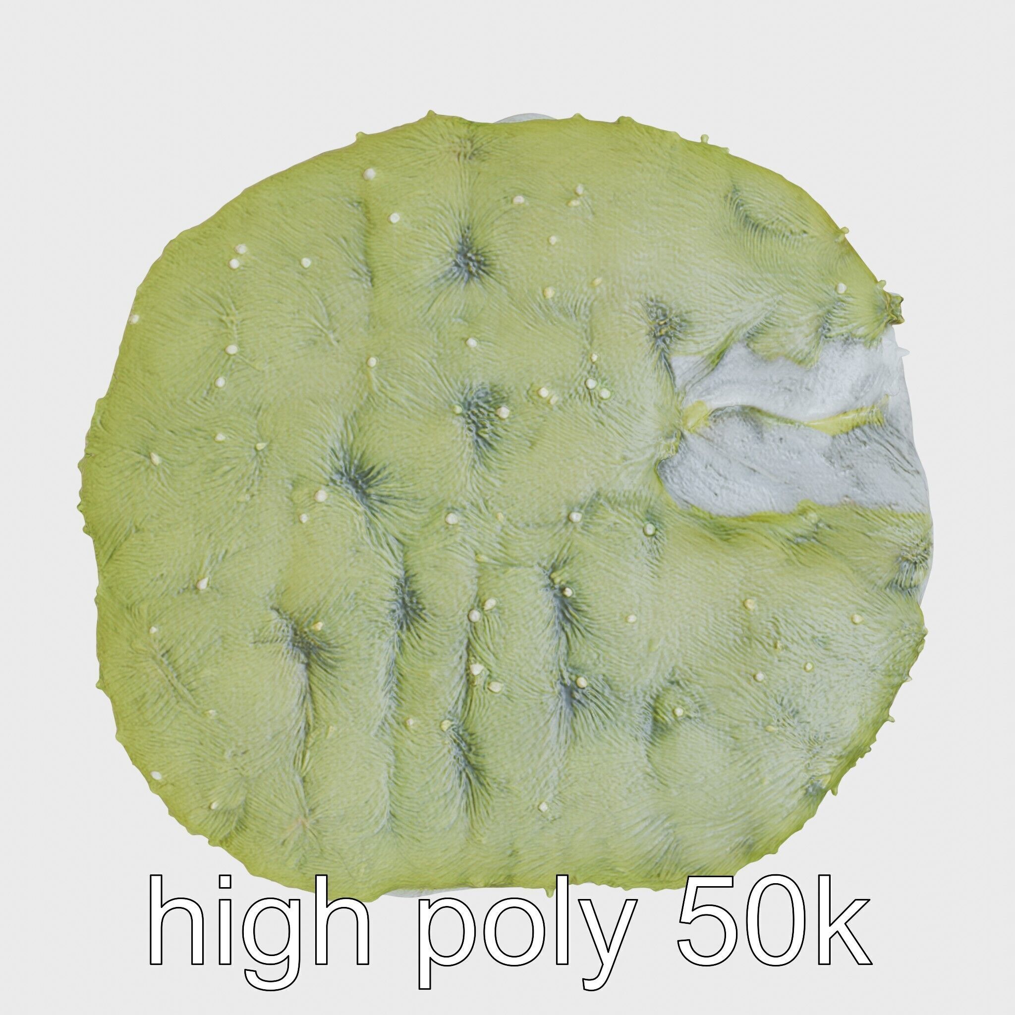 Mossy Stone Terrain Element model pack Low-poly 3D model_11